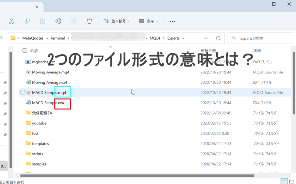 mq4ファイルとex4ファイルの違いとは？